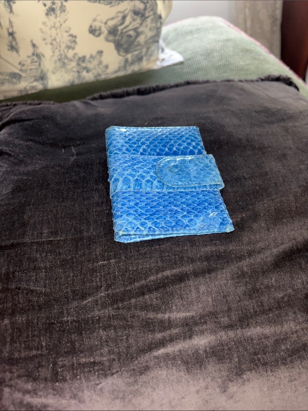 Blue Snakeskin Card Case -Aspects